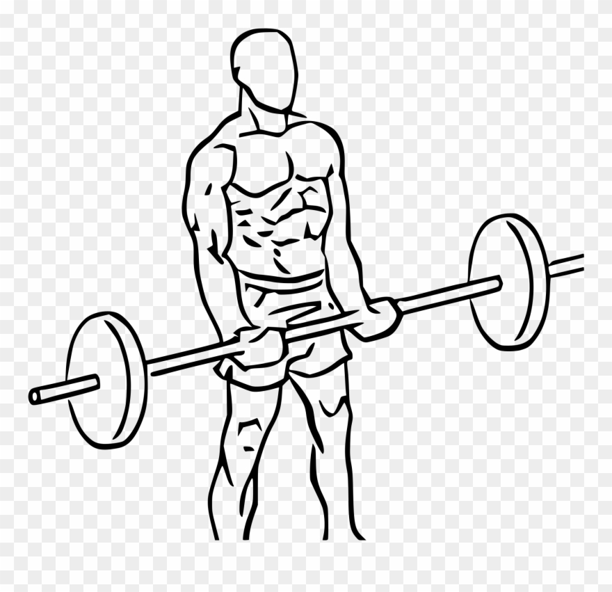 File Close Grip Standing Clip Art Library Library - Cross Body Hammer Curl - Png Download