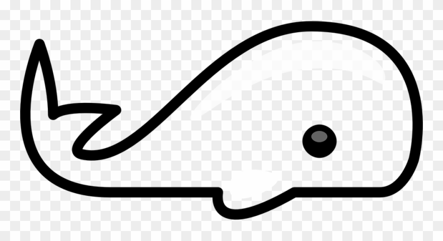 Whale Outline Free Vector Graphic Whale Mammal Animal - Imagenes De Animales Contorno Clipart