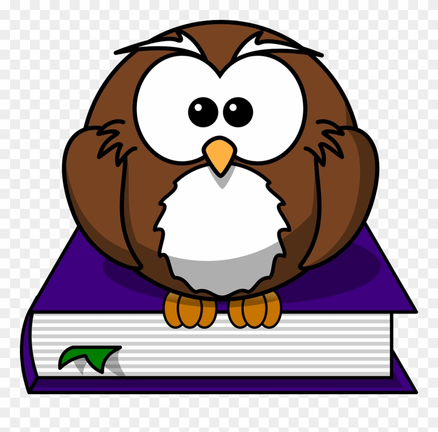 A Parents' Guide To Reading - Cartoon Owl Shower Curtain Clipart