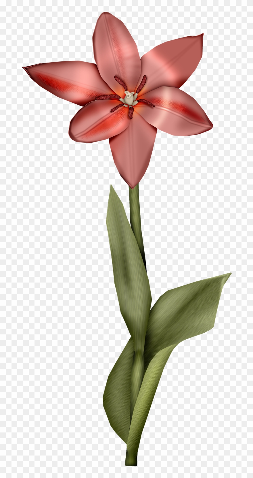 Birds Pretty Clipart 022 - Lily - Png Download