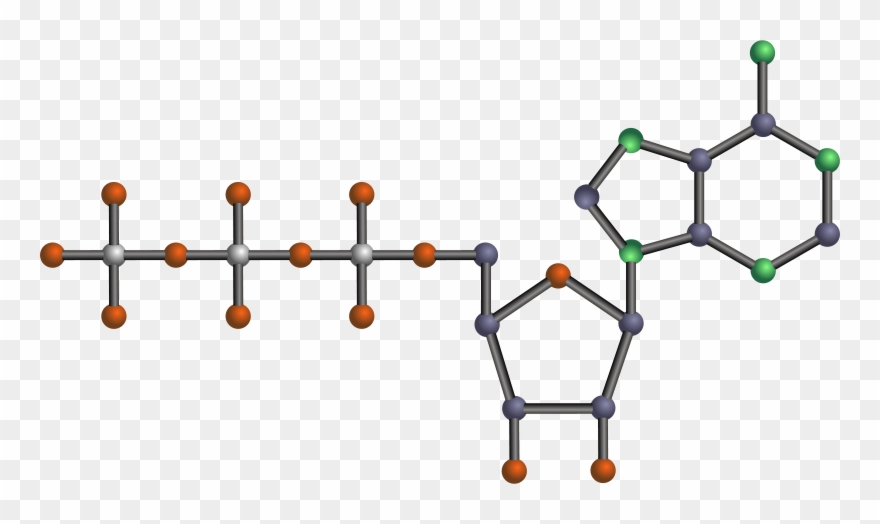 1 - Molecula Atp Clipart