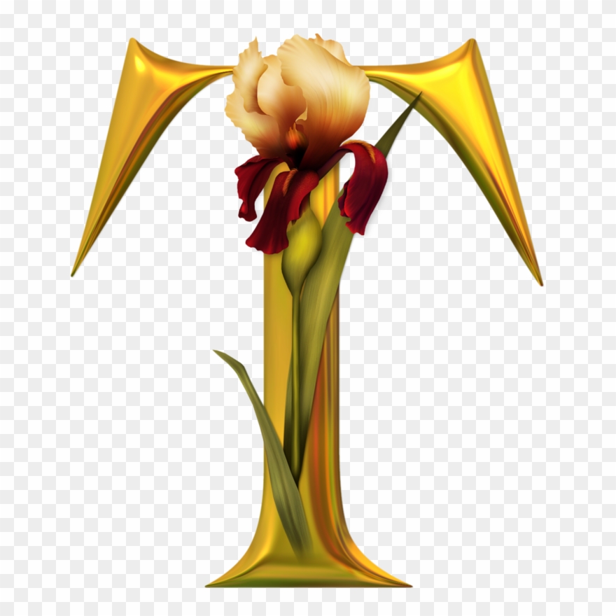 T Alphabet Names, Alphabet Board, Alphabet Soup, Letter - Flower Beautiful T Alphabets Clipart