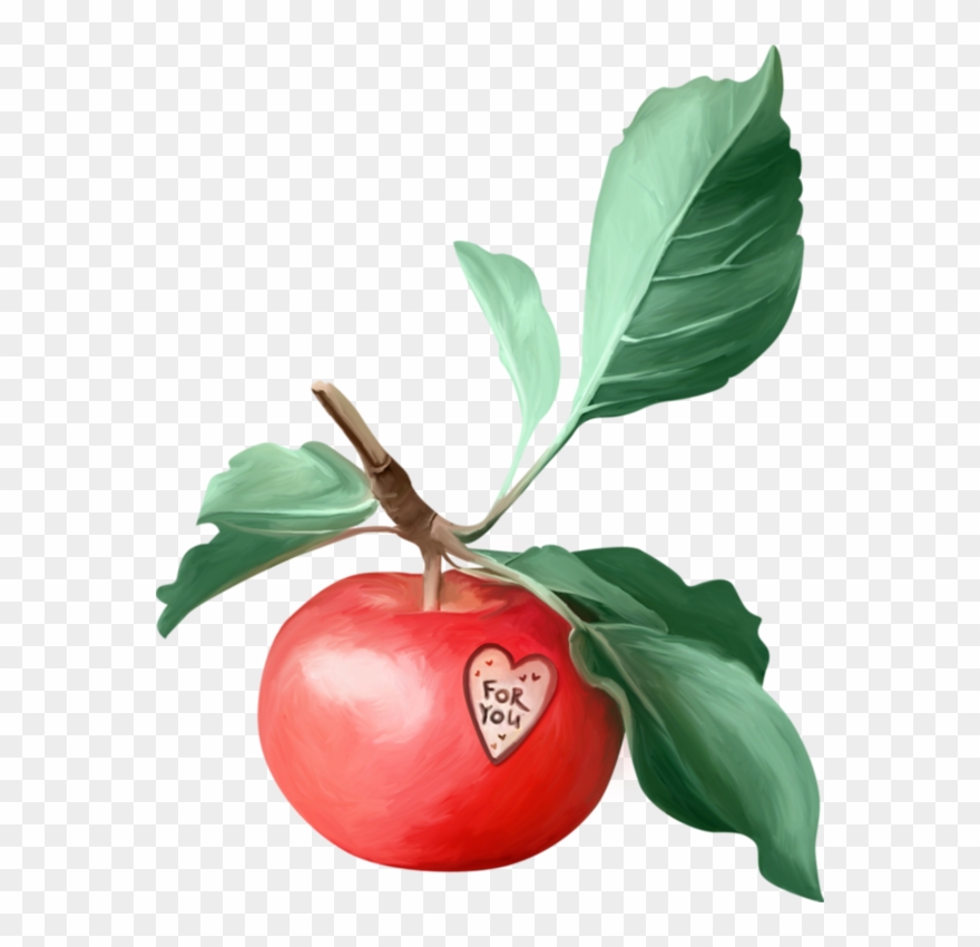 Apples, Clip Art, Fruit, Apple, Illustrations - .net - Png Download