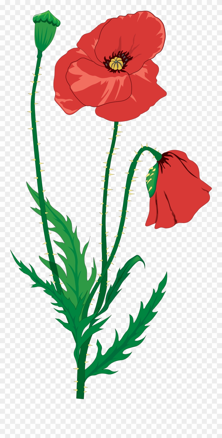 Drawing Flower Clip Art - Armistice Day Lest We Forget - Png Download