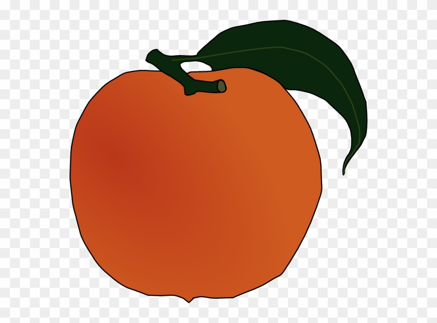 Peach Clip Art - Png Download