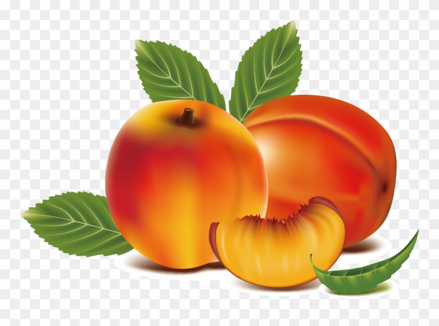 Fruit Clip Art Transprent Png Free Download - Peach Fruit Clipart Transparent Png