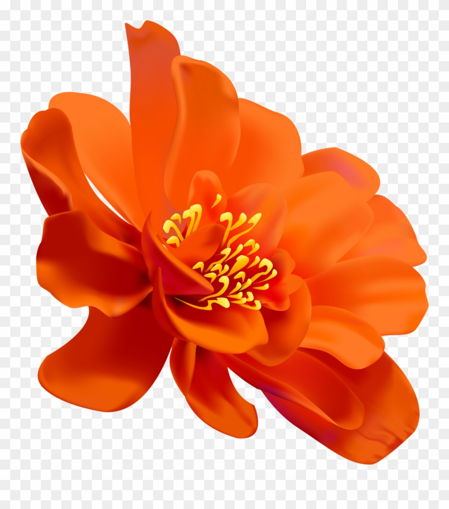 Flower Painting Clip Art Drawing - ดอกไม้ เนย สี ฟ้า - Png Download
