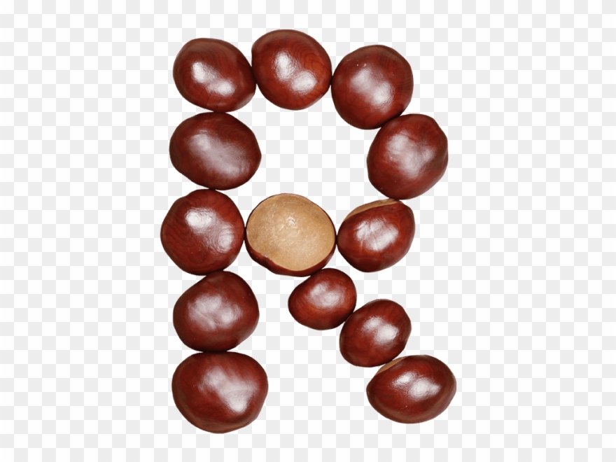 Chestnut Font - Font Clipart