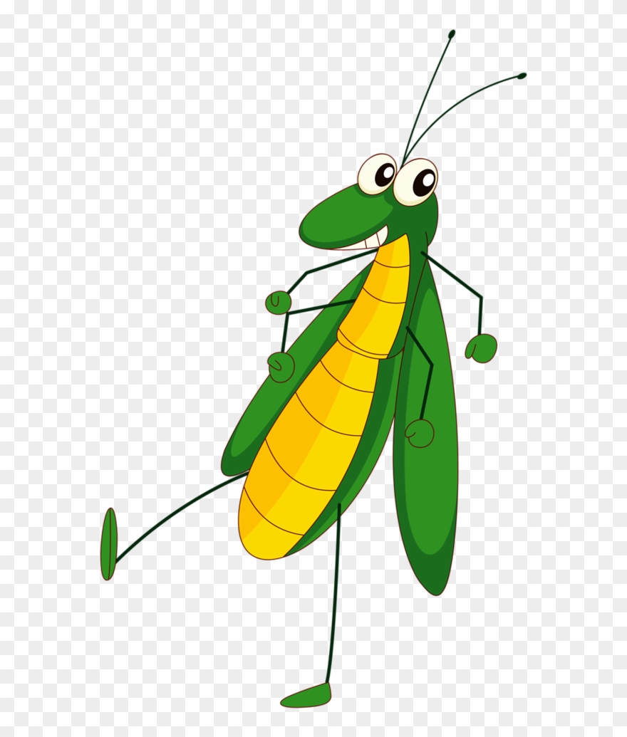 Ϧugs ‿✿⁀ - Grasshopper Dancing Clip Art - Png Download