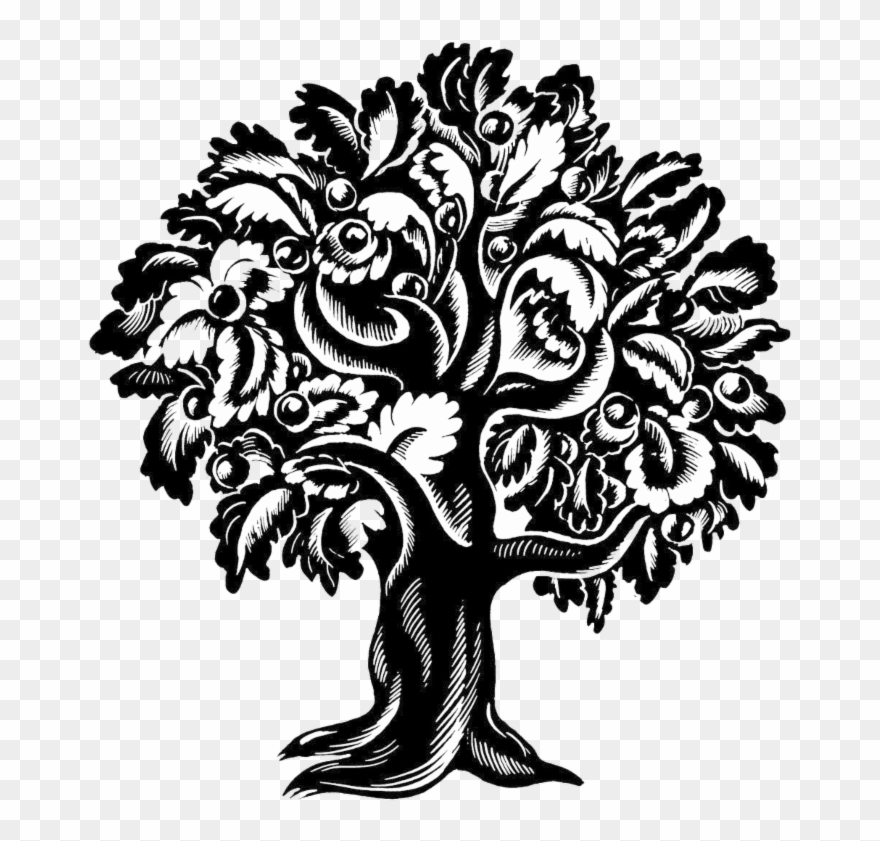 5 - 45 P - M - - Everyday Holiness: The Jewish Spiritual Path Of Mussar Clipart