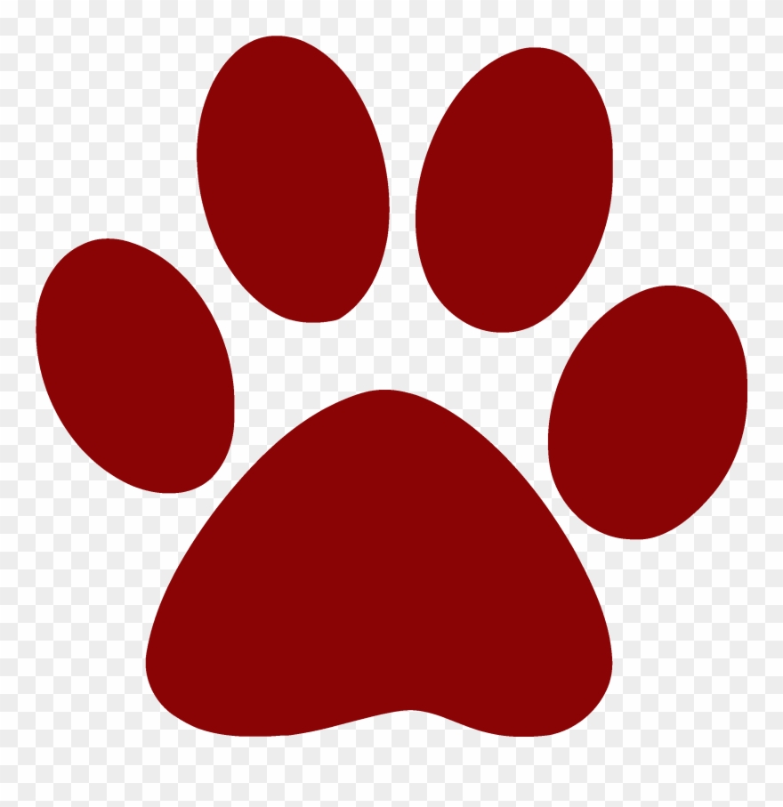 You Don't Want To Use Positive Reinforcement To Train - Dog Paw Print Clipart
