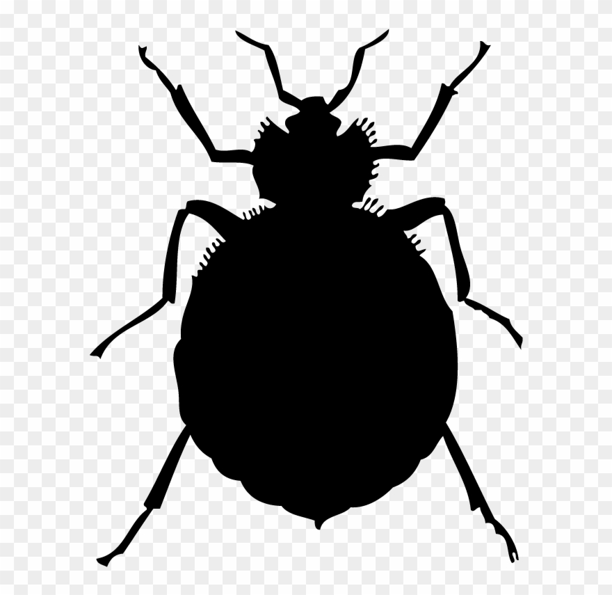 Bed Bugs Clipart - Png Download