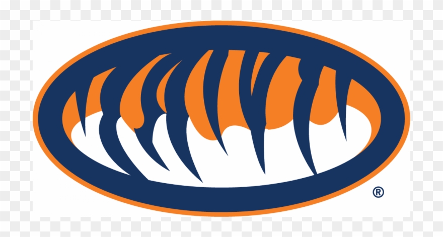Auburn Tigers Iron Ons - Auburn Tigers Clipart