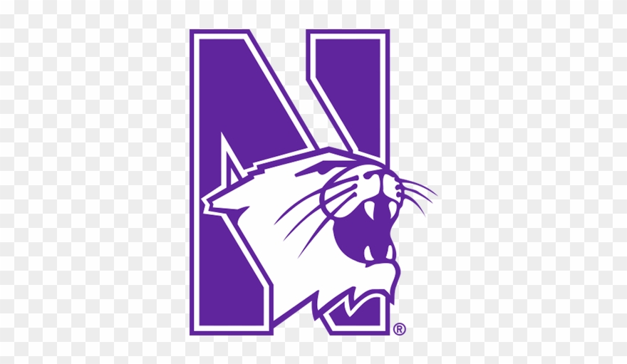 Northwestern Coolers - Northwestern Wildcats Logo Clipart