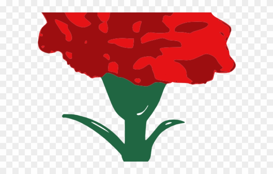 Red Carnation Drawing Clipart