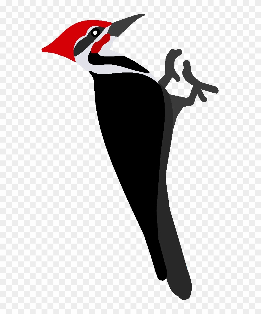 Woodpecker Png - Clipart Woodpecker Black And White Transparent Png