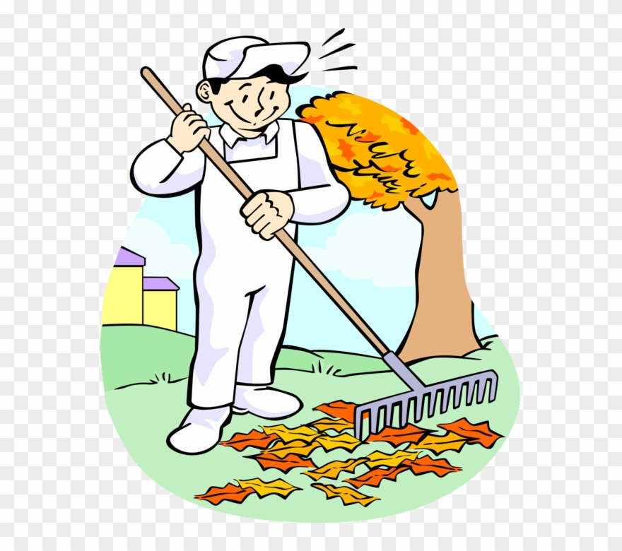 Vector Illustration Of Lawn Care Groundskeeper Raking - Raking Leaves Clip Art - Png Download