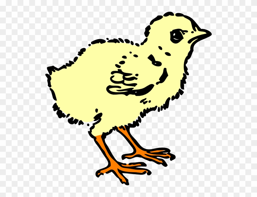 Chick Cartoon Black And White Clipart