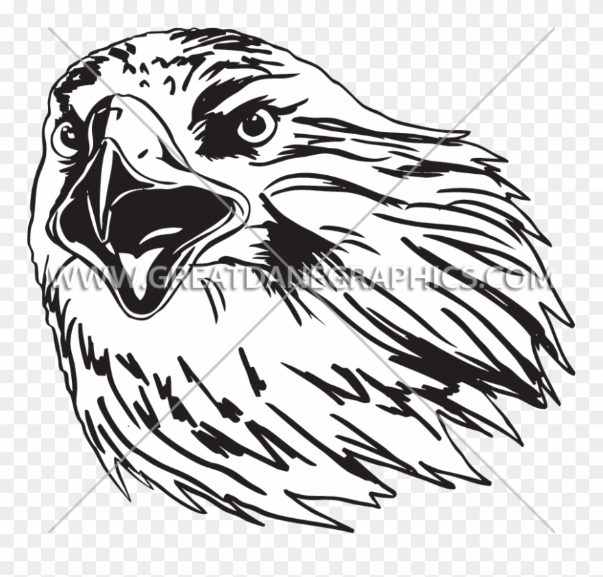 Buzzard Clipart