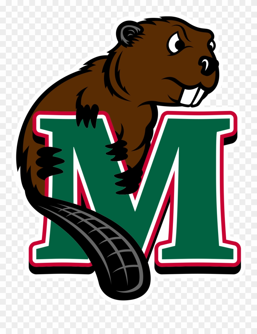 Lumberjack Clipart Beaver - Minot State Beavers Logo - Png Download