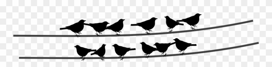 Telephone Wires Png Svg Royalty Free Stock Bird Silhouette On Wire Clipart 1051566 Pinclipart