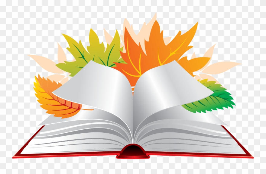 Website, School, Daisy, Bellis Perennis, Schools - Книга На Прозрачном Фоне Clipart