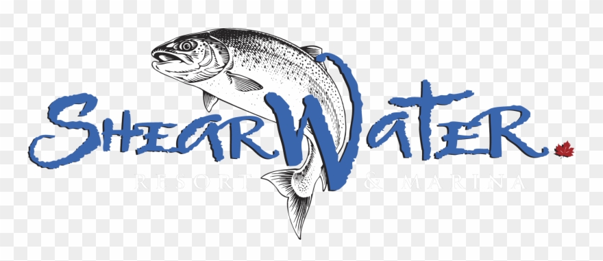 Shearwater Marina & Resort - Shearwater Marine Store Clipart