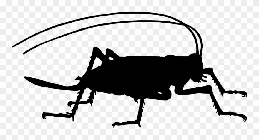 Cricket Farm - Insect Cricket Silhouette Clipart