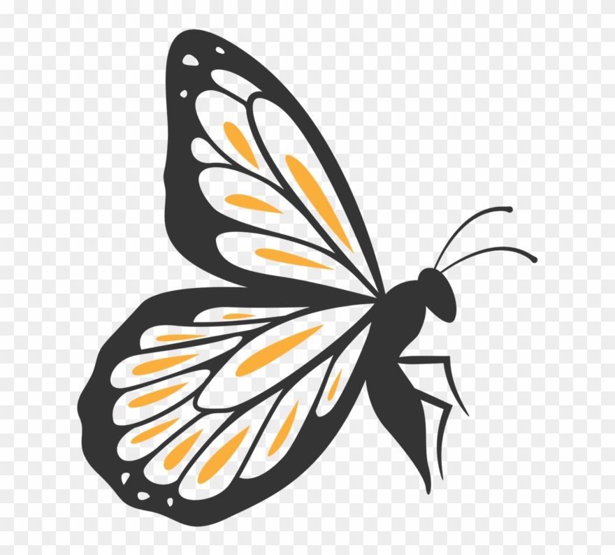 Strong In Body And Spirit, Her Classes Leave Me Feeling - Portable Network Graphics Clipart