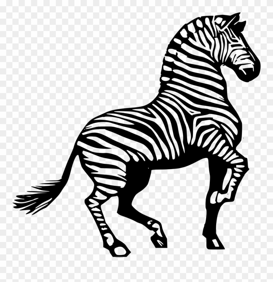 Startling Coloring Pictures Of Zebras Zebra Clipart - Clip Art Of Zebra - Png Download