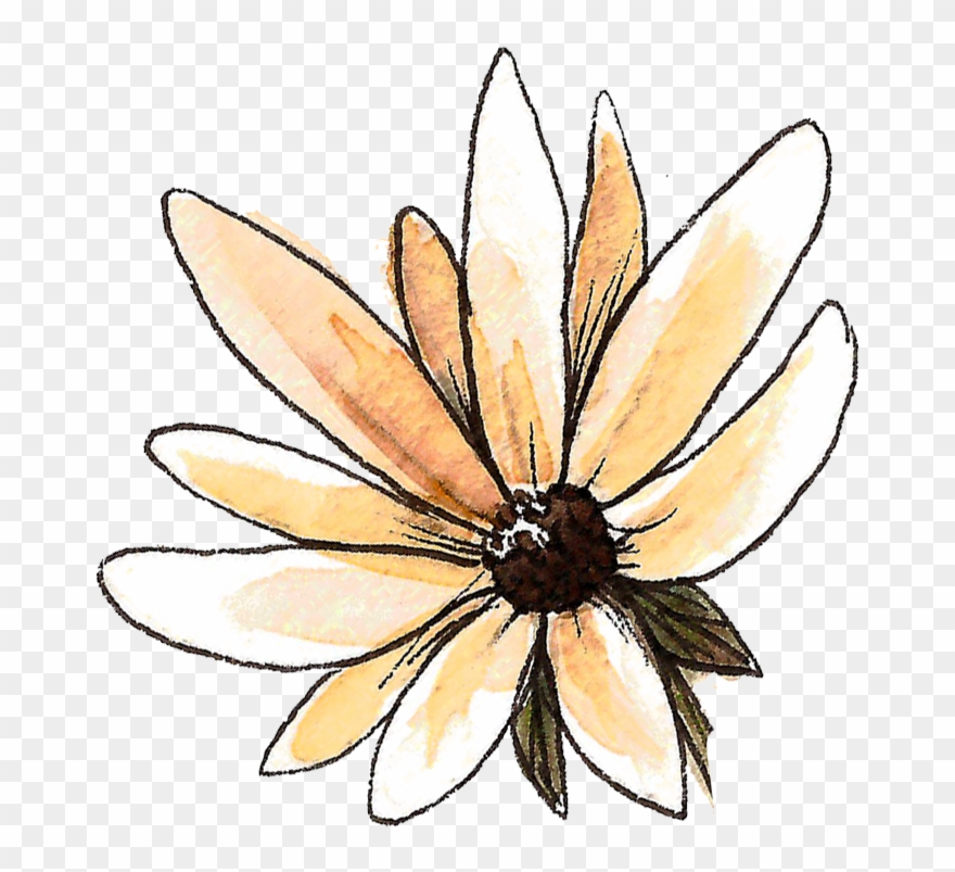 Purity Acne Clearing Cleanse Mask - Black-eyed Susan Clipart