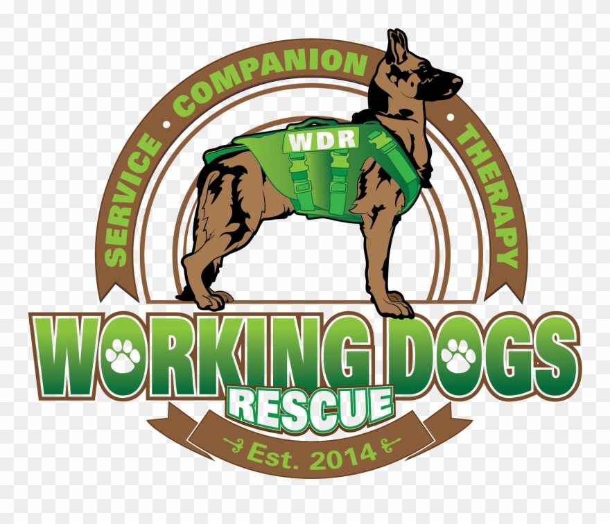 Why Donate A Vehicle - Dog Clipart