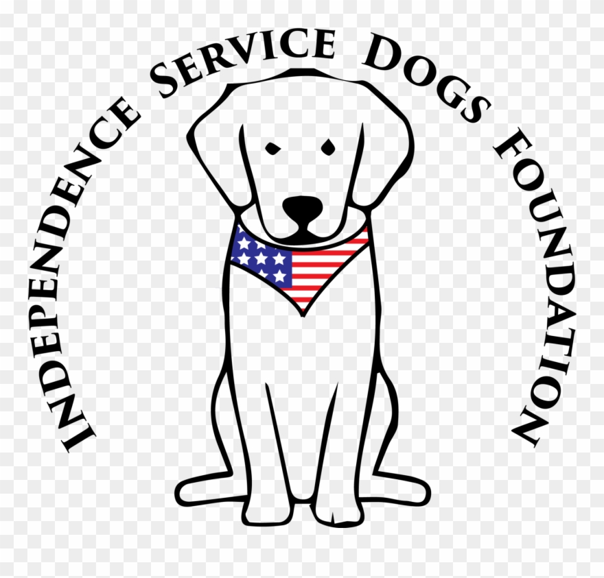 Dog On Crutches - Golden Retriever Cartoon Clipart