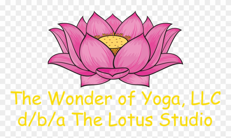 Iyengar Yoga, Easy Yoga - Lotus Drawing With Colour Clipart