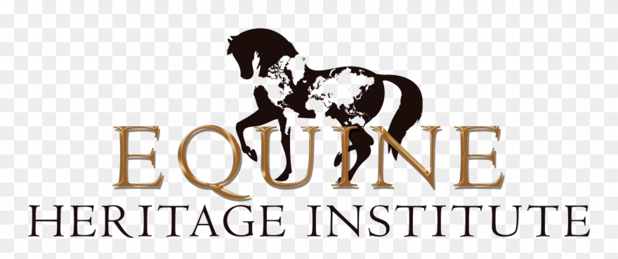 Founded In 1995 By Entrepreneur And Philanthropist, - Style And Apply Detailed World Map Wall Decal, Sticker, Clipart