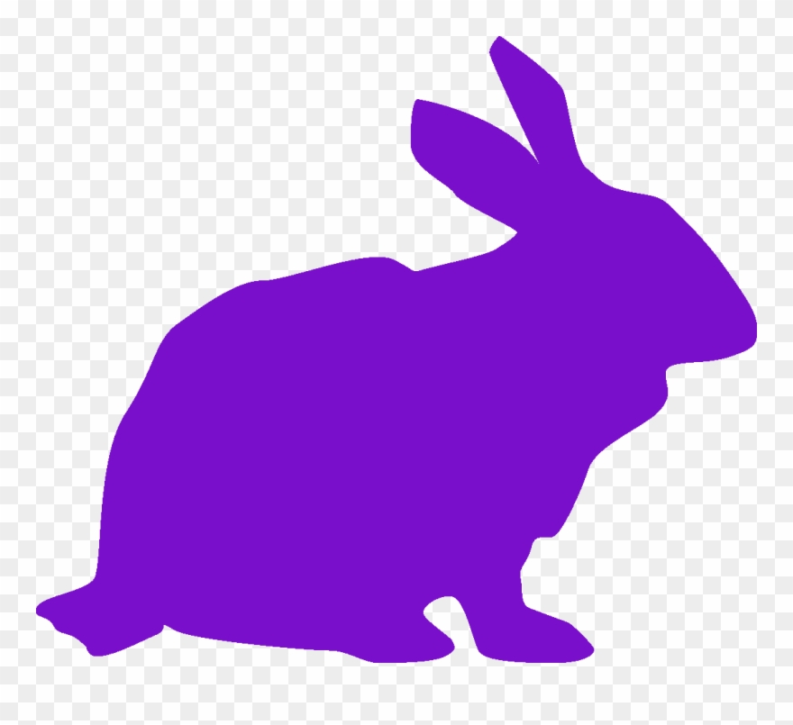Rabbit Icon Purple - Domestic Rabbit Clipart
