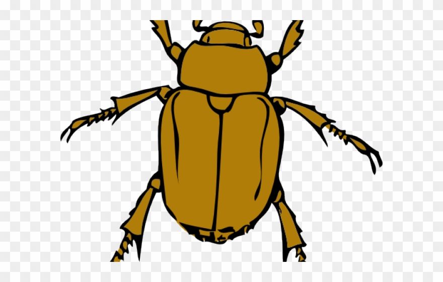 Insects Cliparts - Clipart Beetle - Png Download