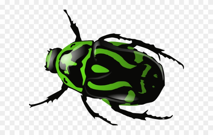 Dead Insects Cliparts - Beetle Clip Art - Png Download