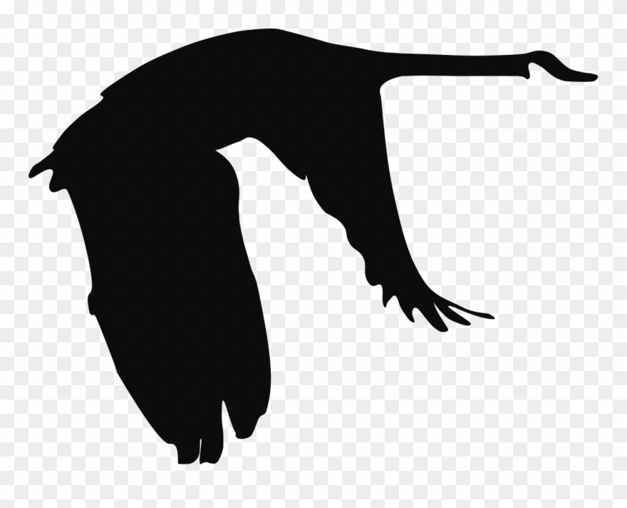 Goose Design Co - Illustration Clipart