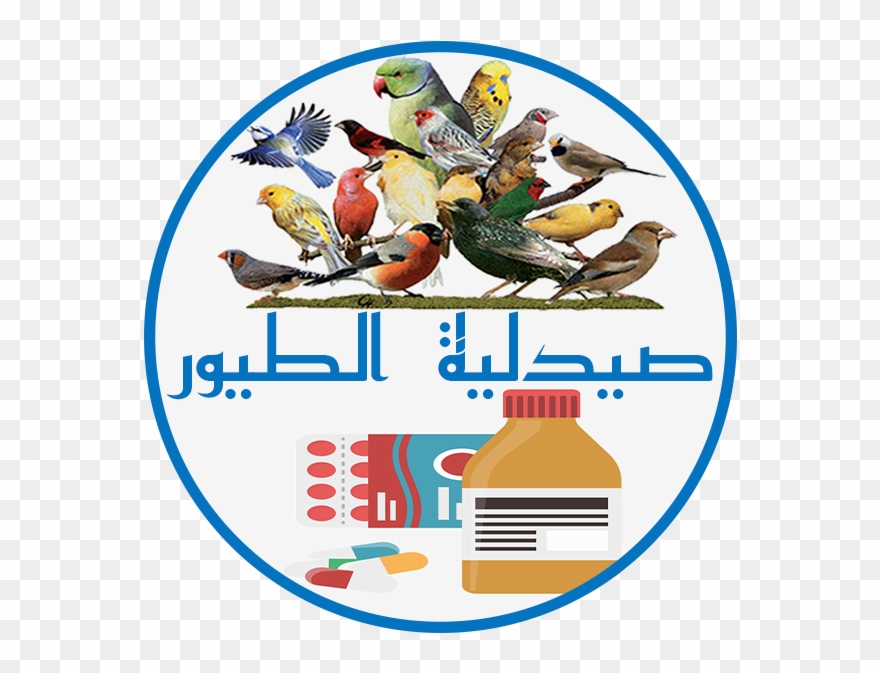 Internet Forum Clipart