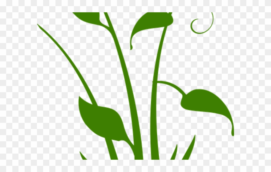 Vector Swirl Clipart Plant - Black Flower Silhouette Transparent - Png Download