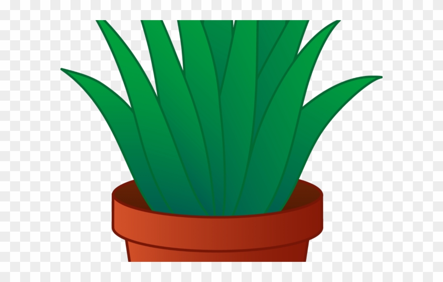 Pot Plant Clipart Pot Clip Art - Aloe Vera Plant Clipart - Png Download