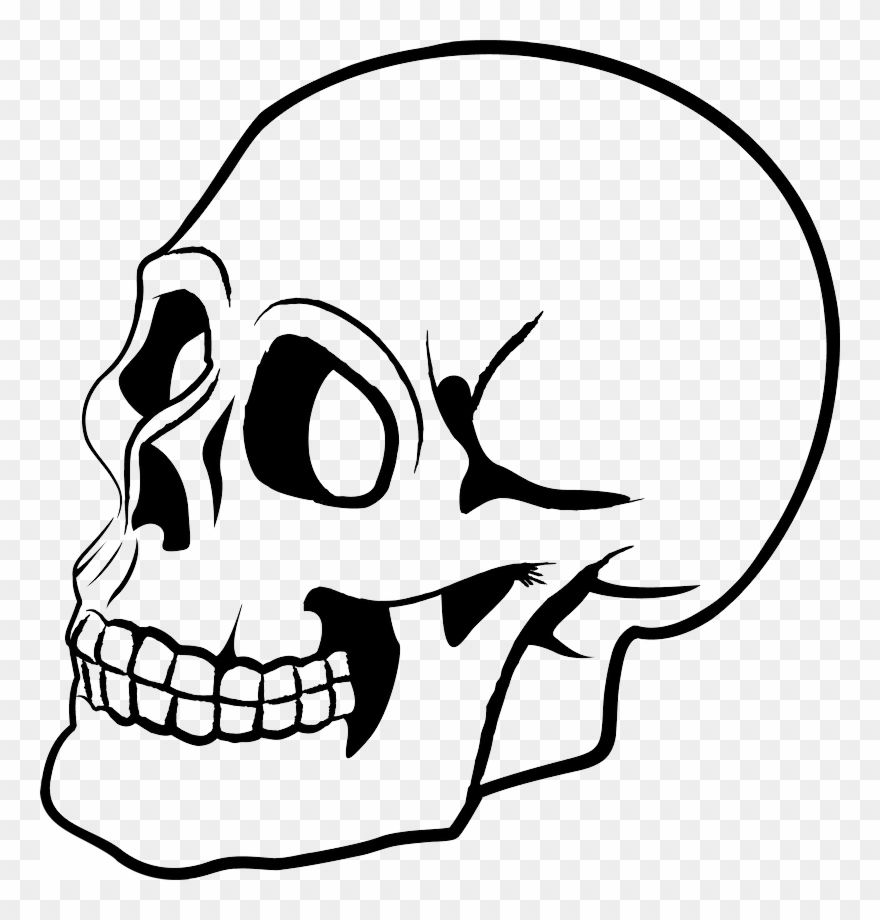 Dibujo De Un Craneo Para Colorear Clipart