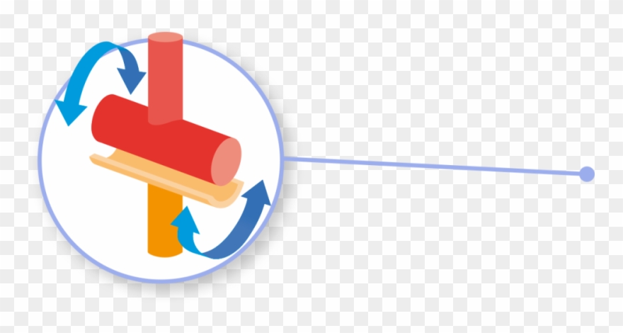 Joints In Human Body Types Of Dk - Hinge Joint Clipart