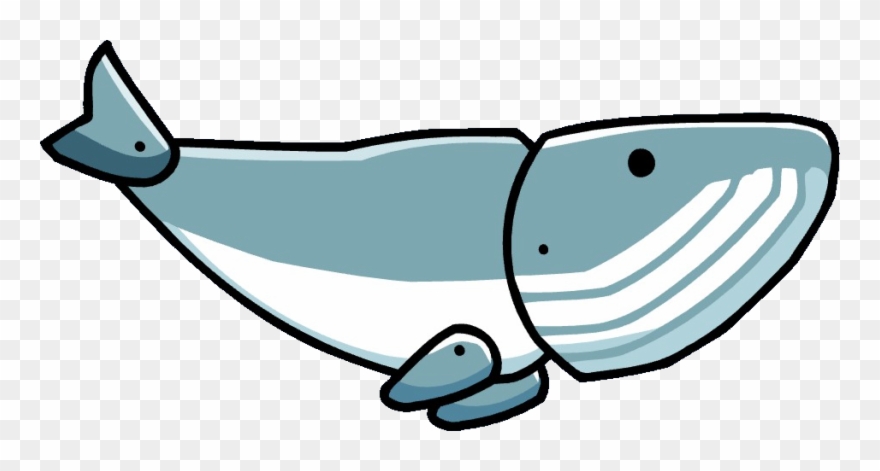 Whale Calf Clipart