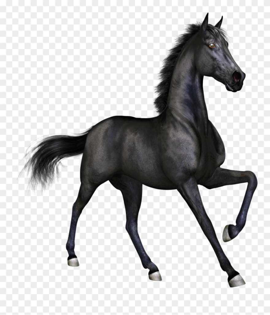 Black Horse Clipart - Png Download
