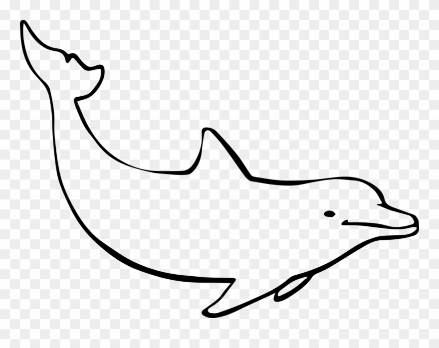 Graphic Freeuse Download Free Image On Pixabay - Dolphin Drawing Png Clipart