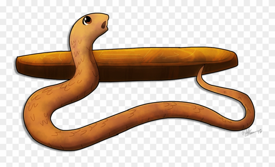 Barbados Threadsnake ” This Week's Star Of Seldom Seen - Barbados Threadsnake Clipart