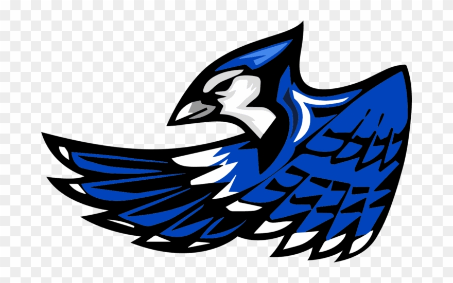 Snook Bluejays Clipart