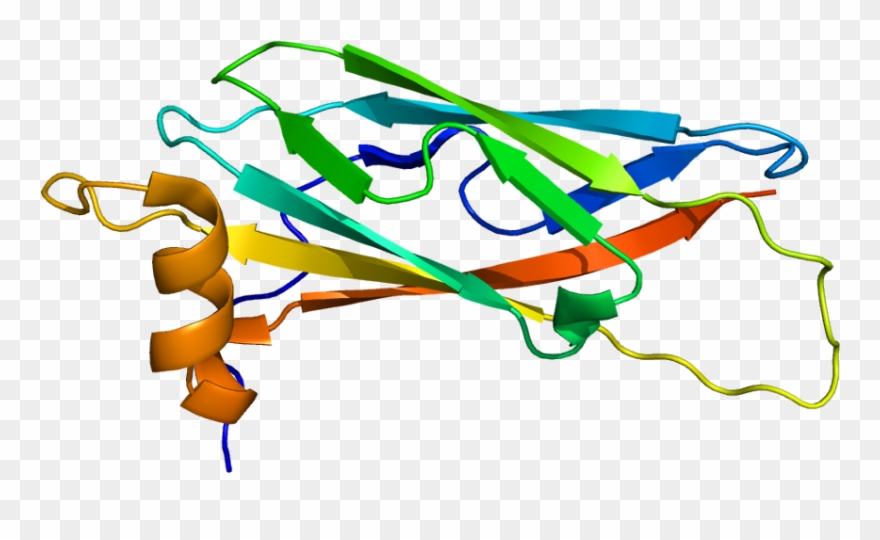 Protein Data Bank Clipart